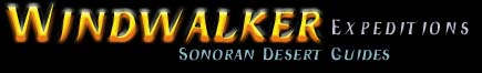 windwalker expeditions horseback,jeep,photo,archaeology tours in cave creek arizona